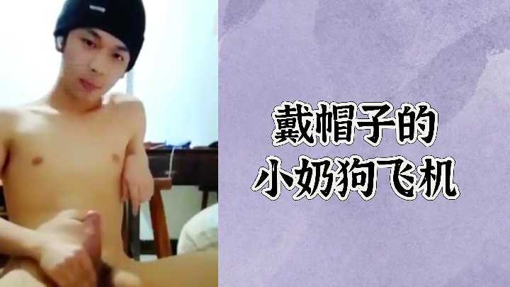 免费戴帽子的小奶狗飞机封面图