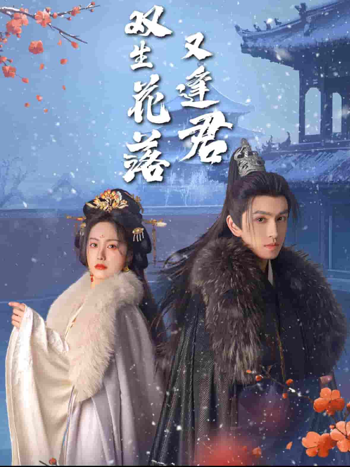 双生花落又逢君封面图